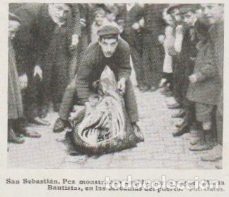 Sammeln von Zeitschriften und Zeitungen: * SAN SEBASTI&Aacute;N * Pez monstruoso cogido por el vapor Mar&iacute;a Bautista - 1912