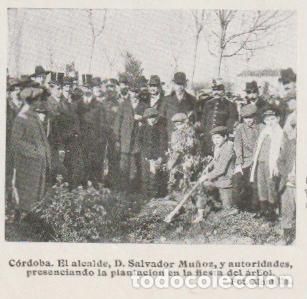 Sammeln von Zeitschriften und Zeitungen: C&Oacute;RDOBA * Fiesta del &Aacute;rbol, alcalde D. Salvador Mu&ntilde;oz - 1912