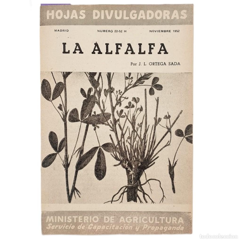 Coleccionismo de Revistas y Peri&oacute;dicos: LA ALFALFA. Ortega Sada, J. L.