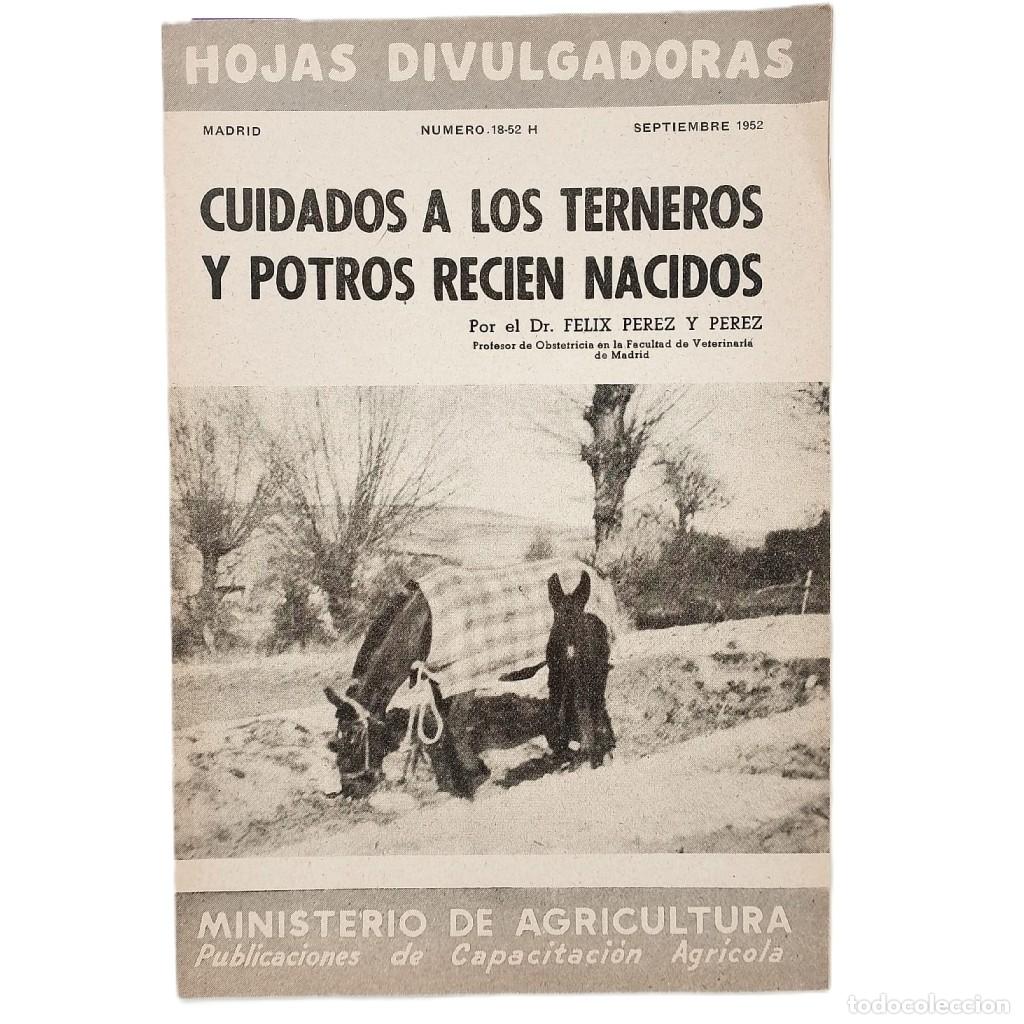 Coleccionismo de Revistas y Peri&oacute;dicos: CUIDADOS A LOS TERNEROS Y POTROS RECI&Eacute;N NACIDOS. P&eacute;rez y P&eacute;rez, F&eacute;lix