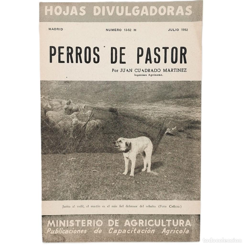 Collectionnisme de Revues et Journaux: PERROS DE PASTOR. Cuadrado Mart&iacute;nez, Juan