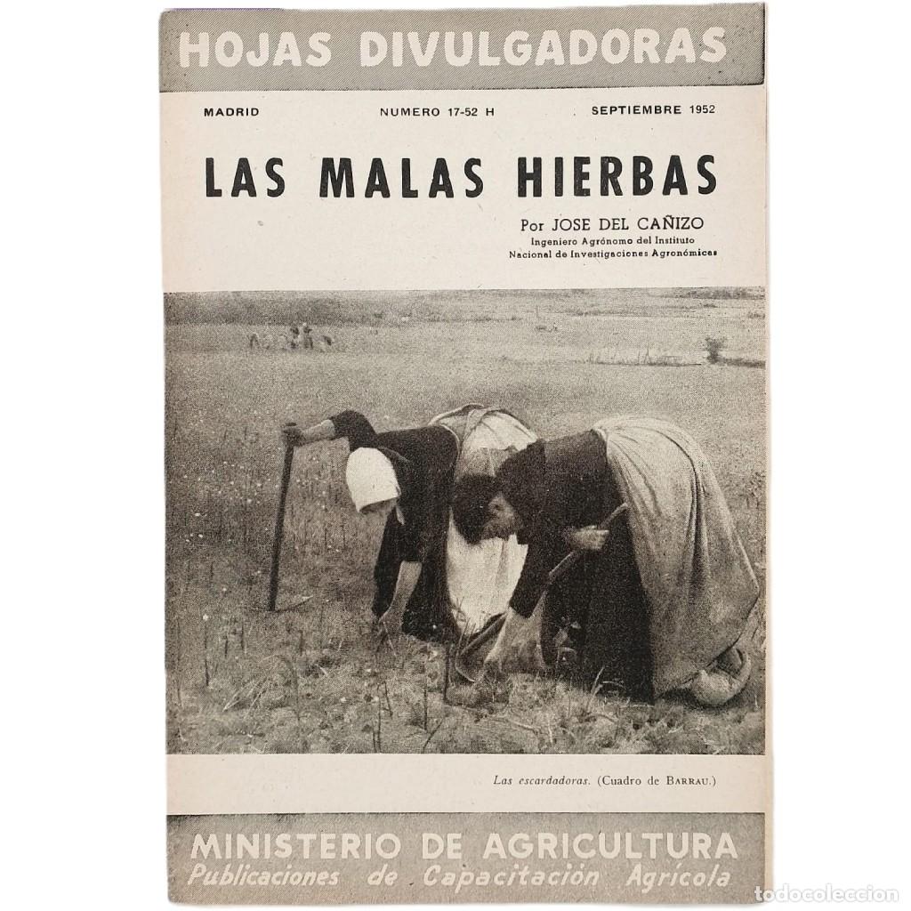 Coleccionismo de Revistas y Peri&oacute;dicos: LAS MALAS HIERBAS. Ca&ntilde;izo, Jos&eacute; del