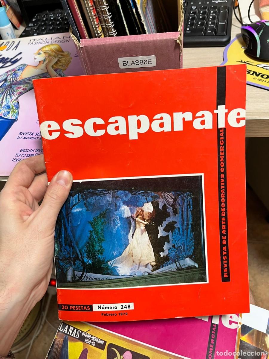 Coleccionismo de Revistas y Peri&oacute;dicos: BLAS86E escaparate REVISTA DE ARTE DECORATIVO COMERCIAL 248