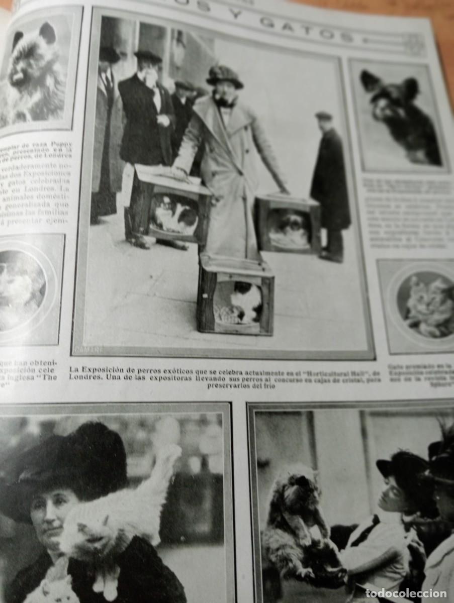Coleccionismo de Revistas y Peri&oacute;dicos: REVISTA ENTERA A&Ntilde;O 1914 MARQUES DEL ZARCO DUQUE DE ANDRIA TRANSPORTIN DE PERROS Y GATOS