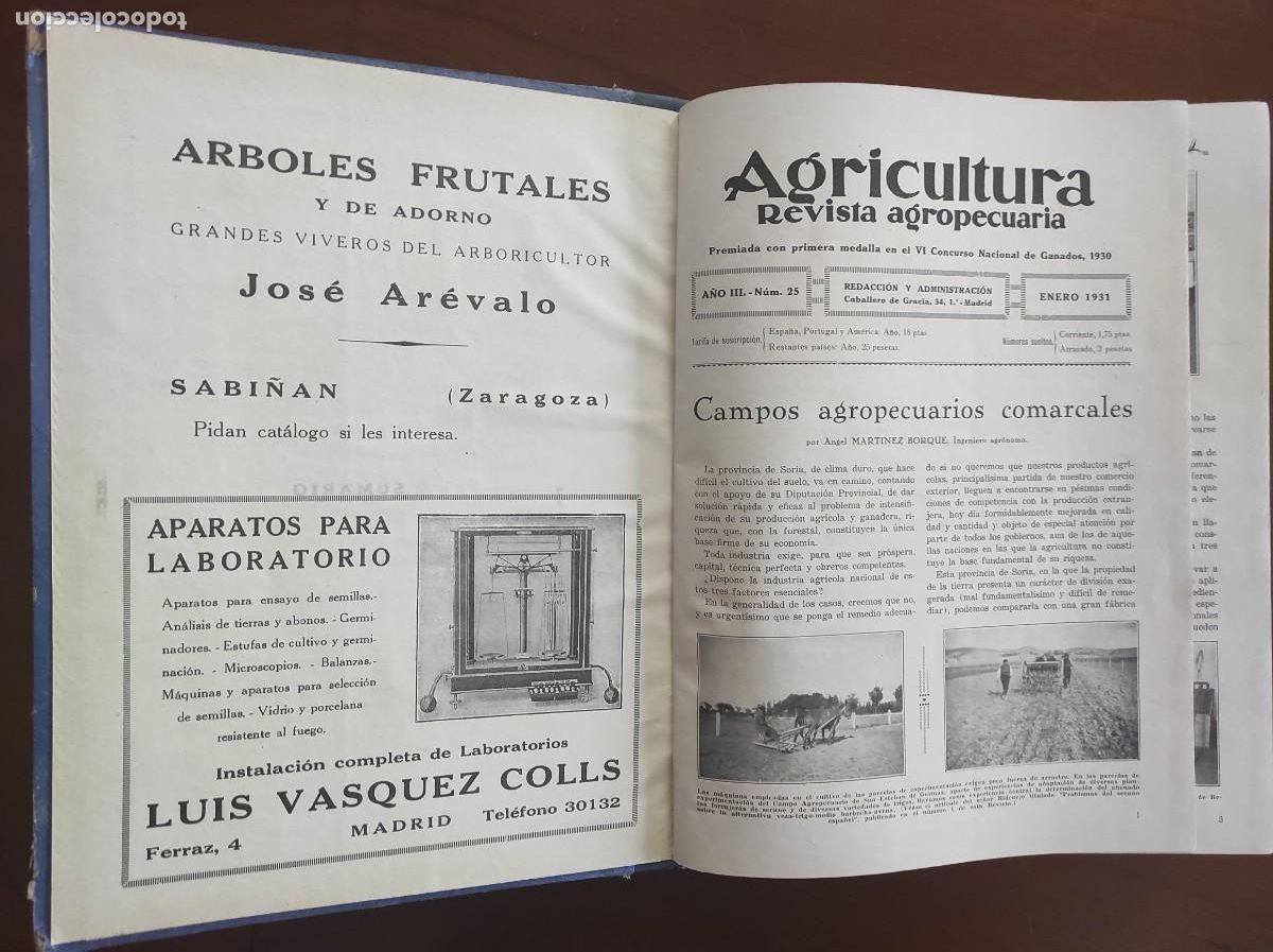 Sammeln von Zeitschriften und Zeitungen: AGRICULTURA REVISTA AGROPECUARIA TOMO CON A&Ntilde;O COMPLETO DE 1931 - DEL N&ordm; 25 AL 36 CON &Iacute;NDICE
