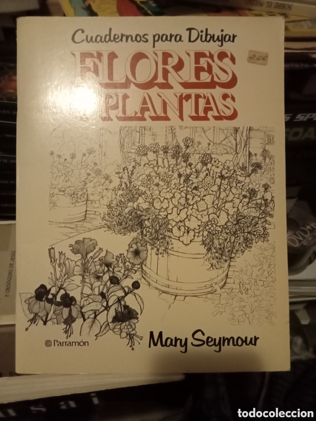 Coleccionismo de Revistas y Peri&oacute;dicos: Cuadernos para dibujar flores y plantas