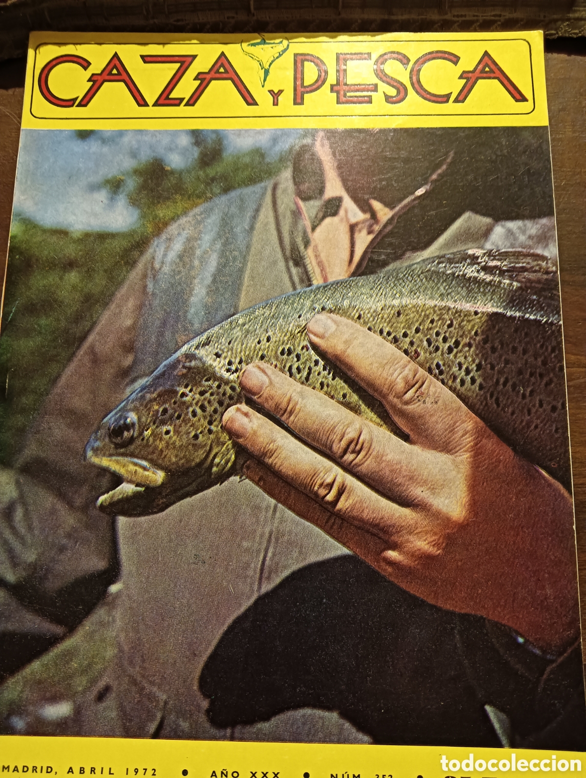 Coleccionismo de Revistas y Peri&oacute;dicos: Revista caza y pesca abril de 1972 n&uacute;mero trescientos cincuenta y dos
