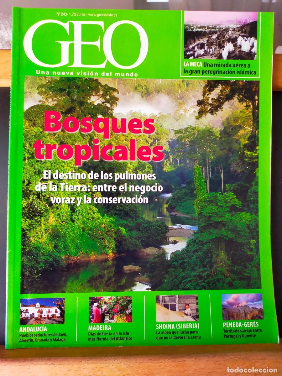 Coleccionismo de Revistas y Peri&oacute;dicos: GEO. REVISTA GEO. N&ordm; 243.