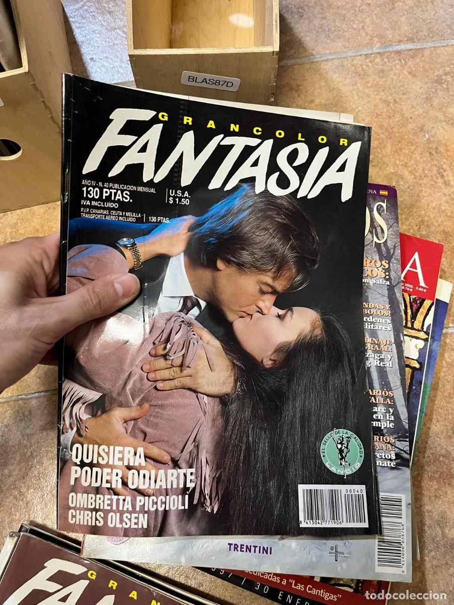 Coleccionismo de Revistas y Peri&oacute;dicos: BLAS87D REVISTA Gran Fantas&iacute;a, a&ntilde;o IV, n&ordm; 40. Revista de cine y entretenimiento.