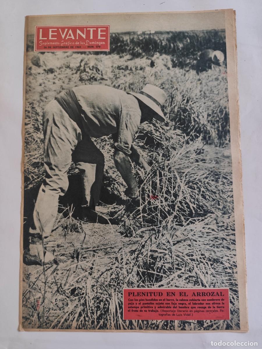 Coleccionismo de Revistas y Peri&oacute;dicos: REVISTA LEVANTE 1965 , CAMPOS DE ARROZ PUEBLOS ALBUFERA, BENIDORM