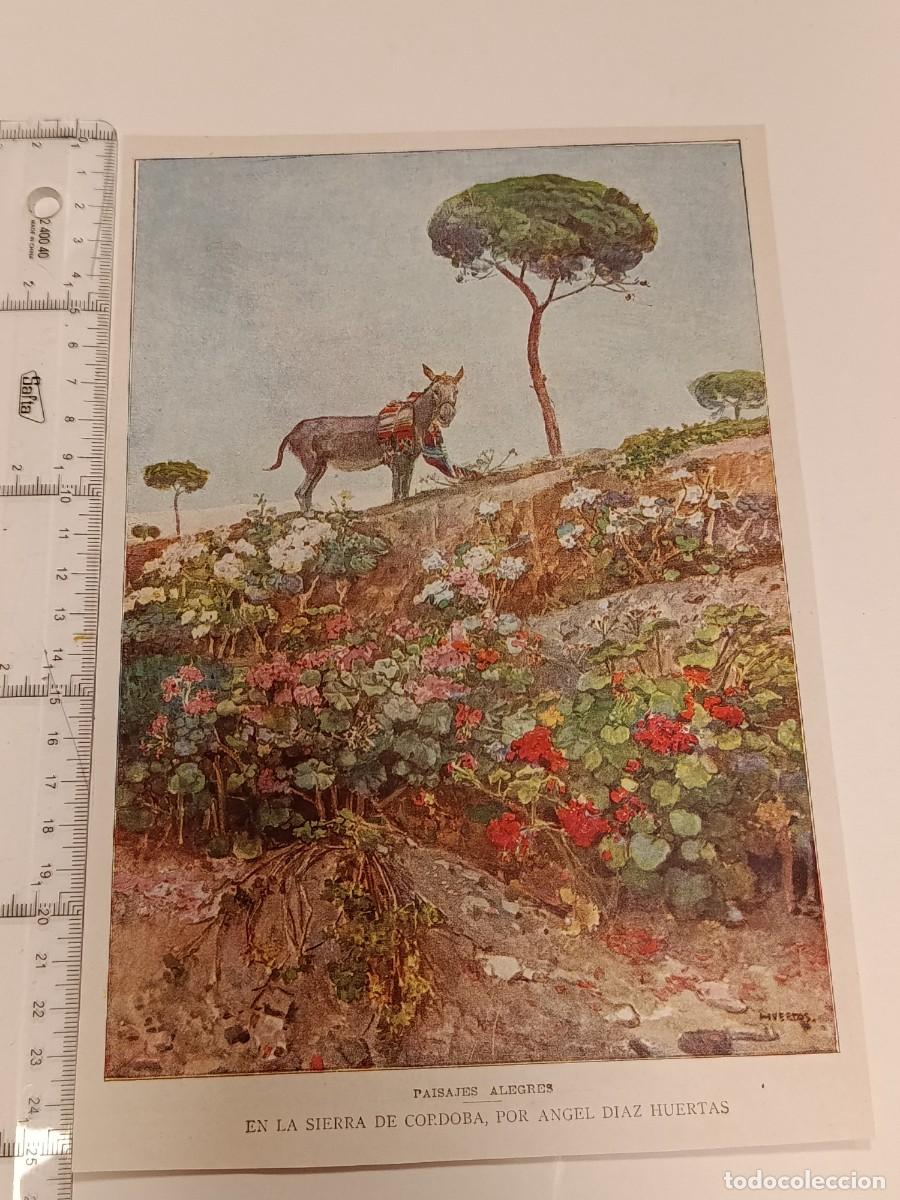 Collezionismo di Riviste e Giornali: L&aacute;mina &rdquo;En la sierra de C&oacute;rdoba&rdquo; - &Aacute;ngel D&iacute;az Huertas. Blanco y Negro. 1910-1930. Andaluc&iacute;a.