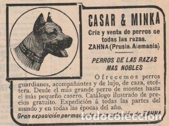 Coleccionismo de Revistas y Peri&oacute;dicos: Publicidad cria de perros CASAR & MINKA - 1915
