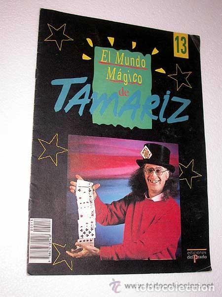 Coleccionismo de revistas y peri&oacute;dicos: EL MUNDO M&Aacute;GICO DE TAMARIZ N&ordm; 13. EDICIONES DEL PRADO 1991. FASC&Iacute;CULO. HORACIO GOLDING +++