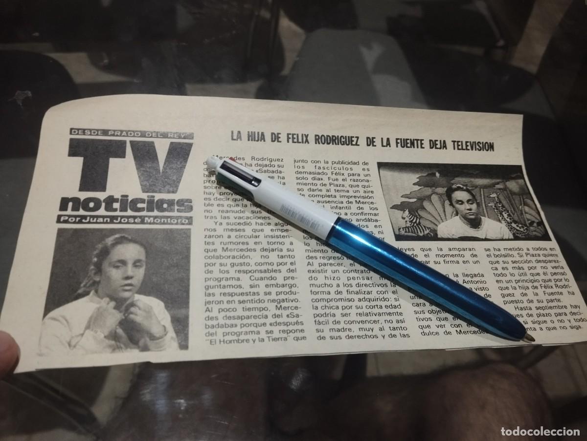 Coleccionismo de revistas y peri&oacute;dicos: HIJA DE FELIX RODR&Iacute;GUEZ DE LA FUENTE RECORTE REVISTA 1981