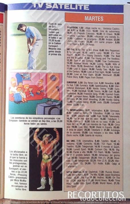 Collection Magazines and Newspapers: LOS SIMPSONS WWF PRESSING CATCH MICKMCMANUS