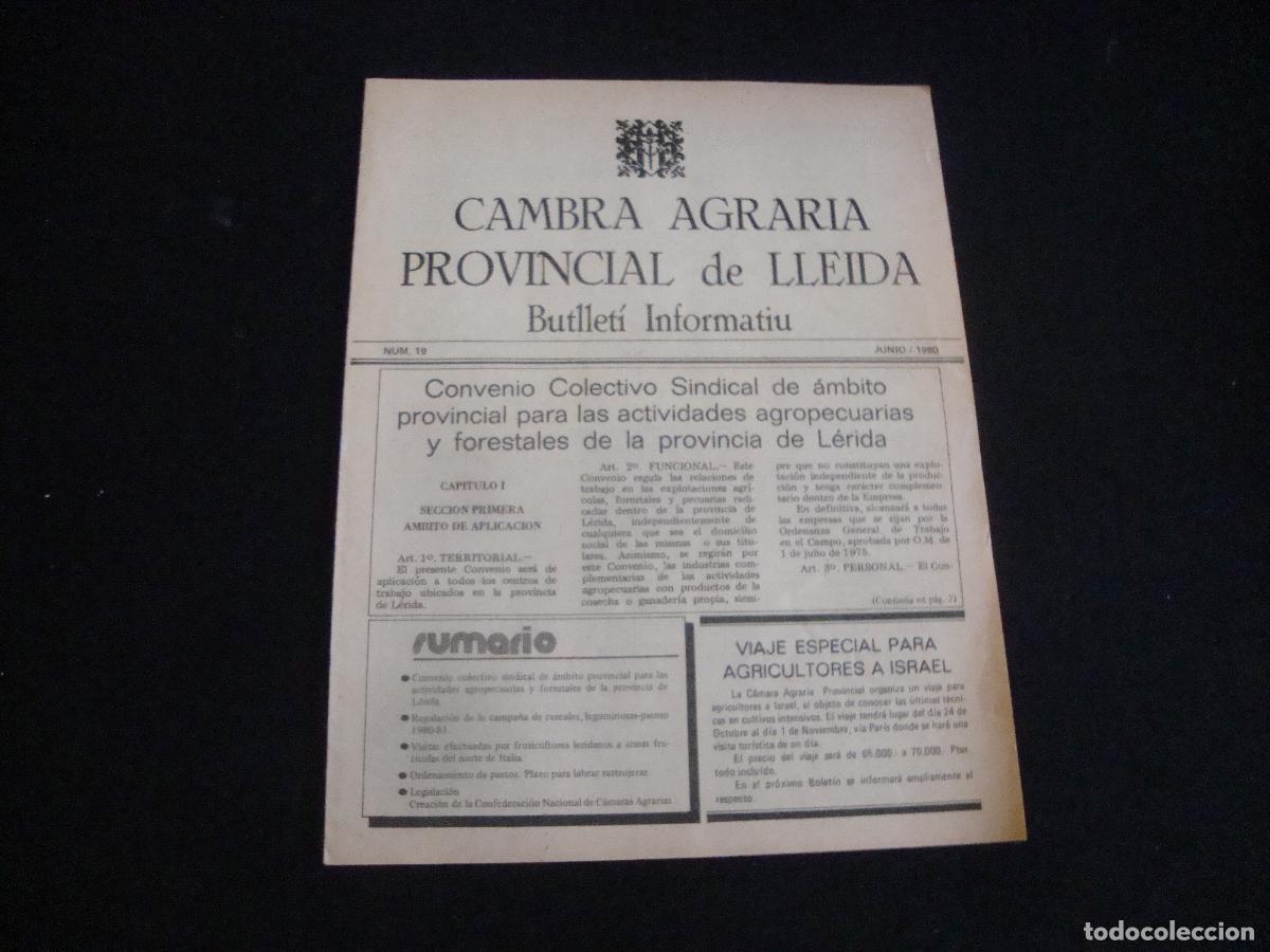 Sammeln von Zeitschriften und Zeitungen: BUTLLETI INFORMATIU CAMBRA AGRARIA PROVINCIAL DE LLEIDA N&ordm; 19 JUNIO 1980