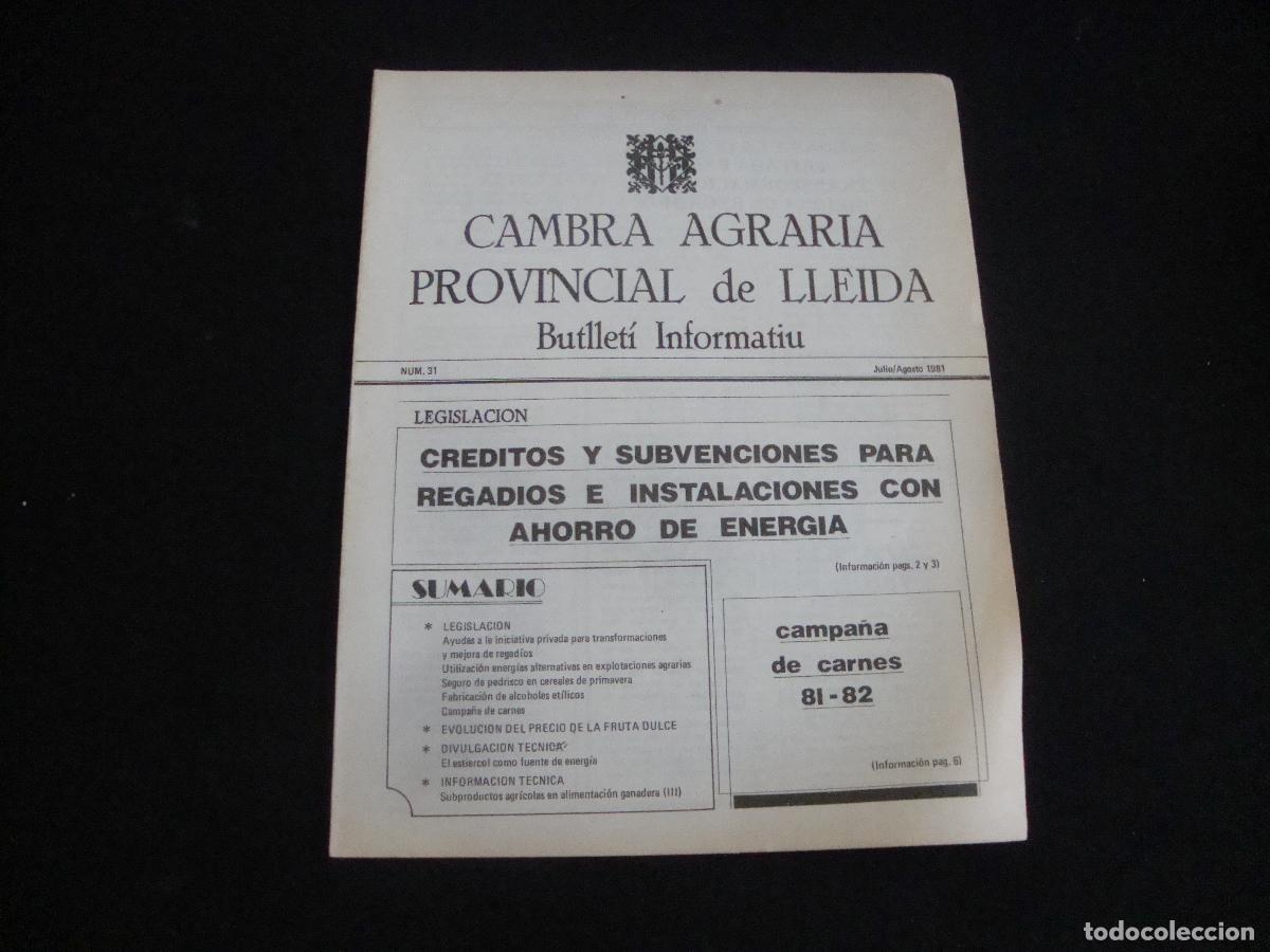 Sammeln von Zeitschriften und Zeitungen: BUTLLETI INFORMATIU CAMBRA AGRARIA PROVINCIAL DE LLEIDA N&ordm; 31 JULIO AGOSTO 1981