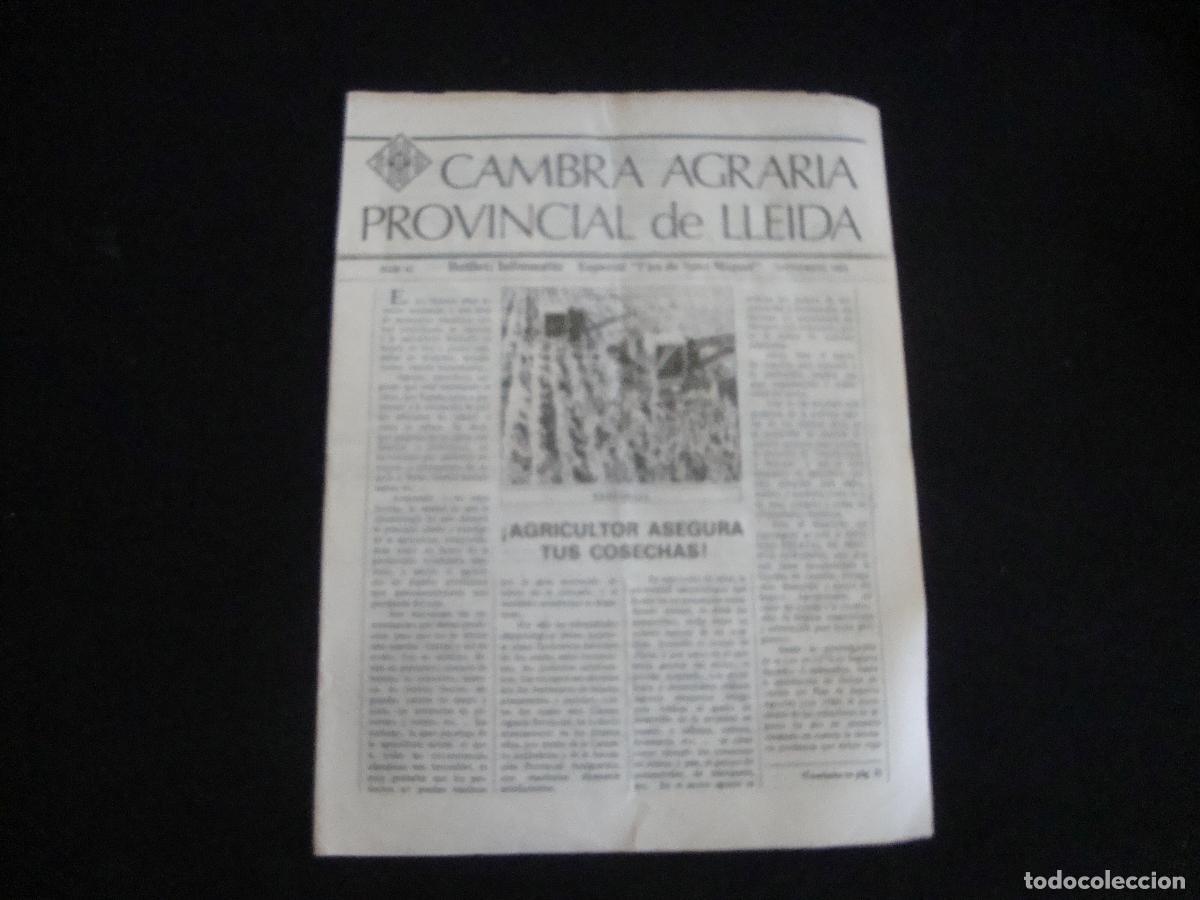 Coleccionismo de revistas y peri&oacute;dicos: BUTLLETI INFORMATIU CAMBRA AGRARIA PROVINCIAL DE LLEIDA N&ordm; 42 SEPTIEMBRE 1983