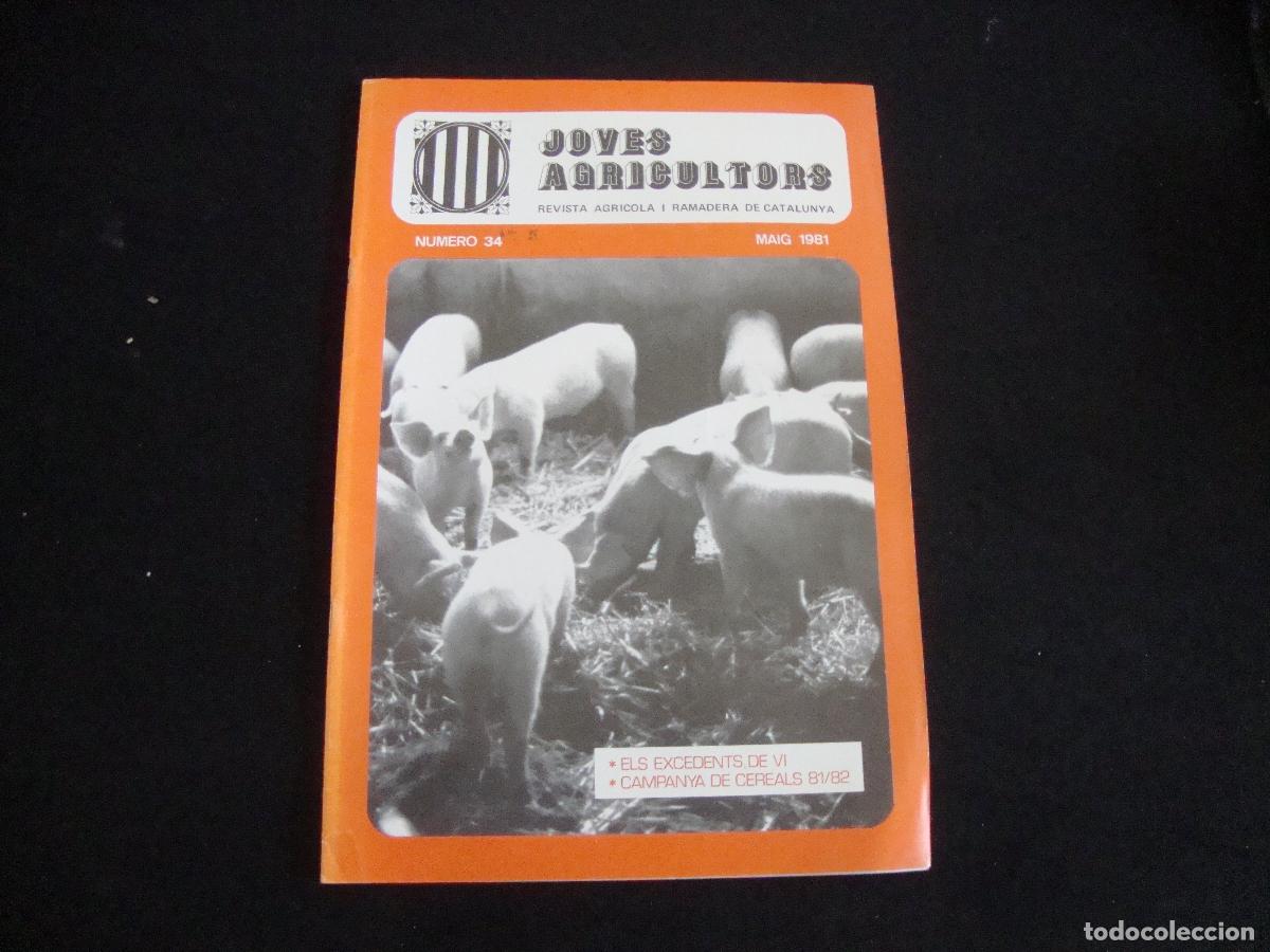 Coleccionismo de revistas y peri&oacute;dicos: REVISTA JOVES AGRICULTORS N&ordm; 34 MAIG 1981