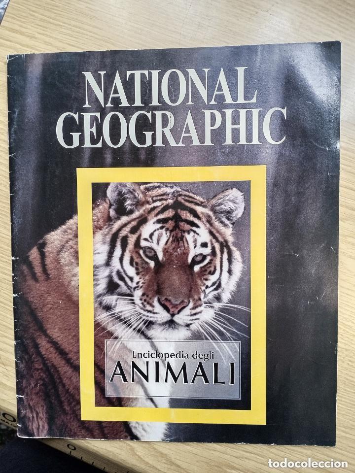 Collectionnisme de Revues et Journaux: FASCICULO N 1 LIBRO NATIONAL GEOGRAPHIC -EN ITALIANO -LEER DETALLES