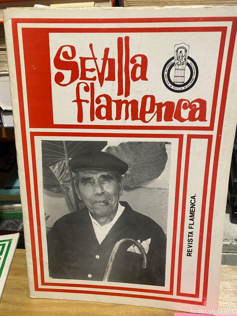 Collection Magazines and Newspapers: SEVILLA FLAMENCA, REVISTA FLAMENCA, N. 37