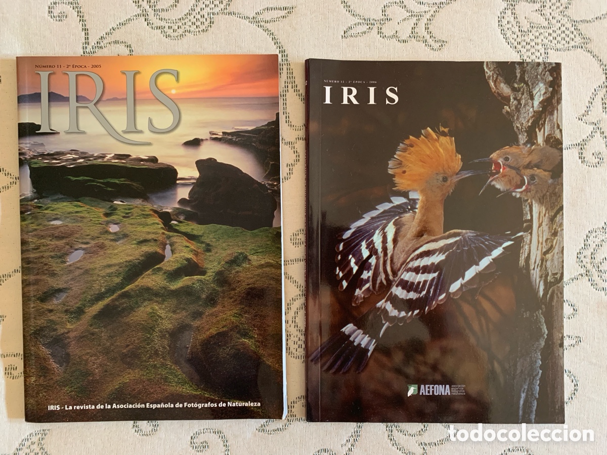 Collezionismo di Riviste e Giornali: IRIS &ndash; AEFONA (2005 y 2006) Numeros 11 y 12