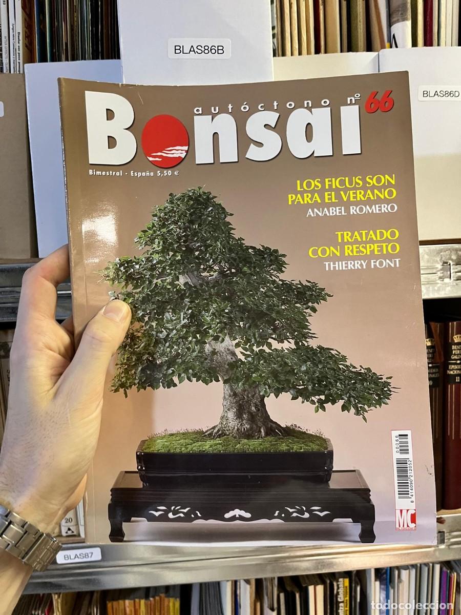Coleccionismo de revistas y peri&oacute;dicos: BLAS86B Bons&aacute;i n&ordm; 66, MC Ediciones