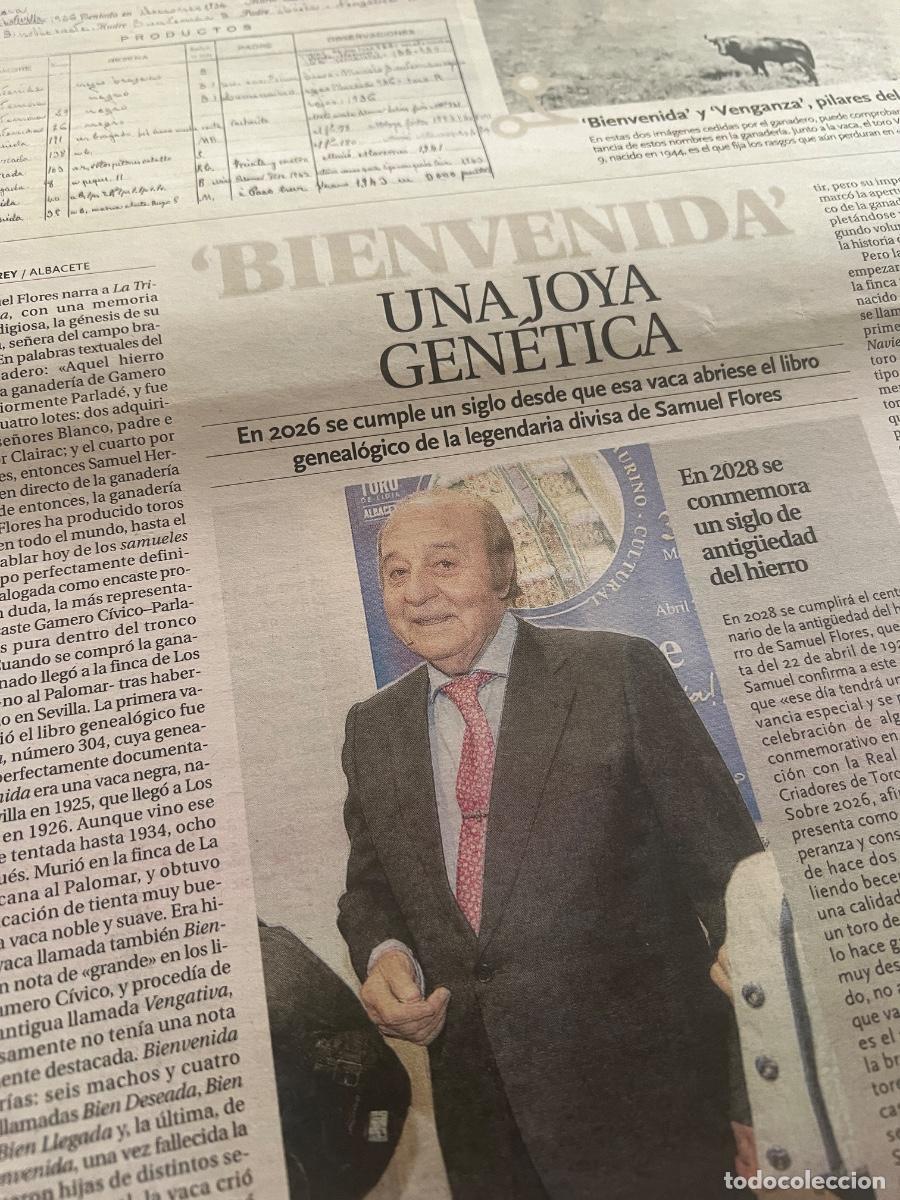 Coleccionismo de revistas y peri&oacute;dicos: Art&iacute;culo sobre GANADER&Iacute;A DE SAMUEL FLORES. TOROS. DIVISA.