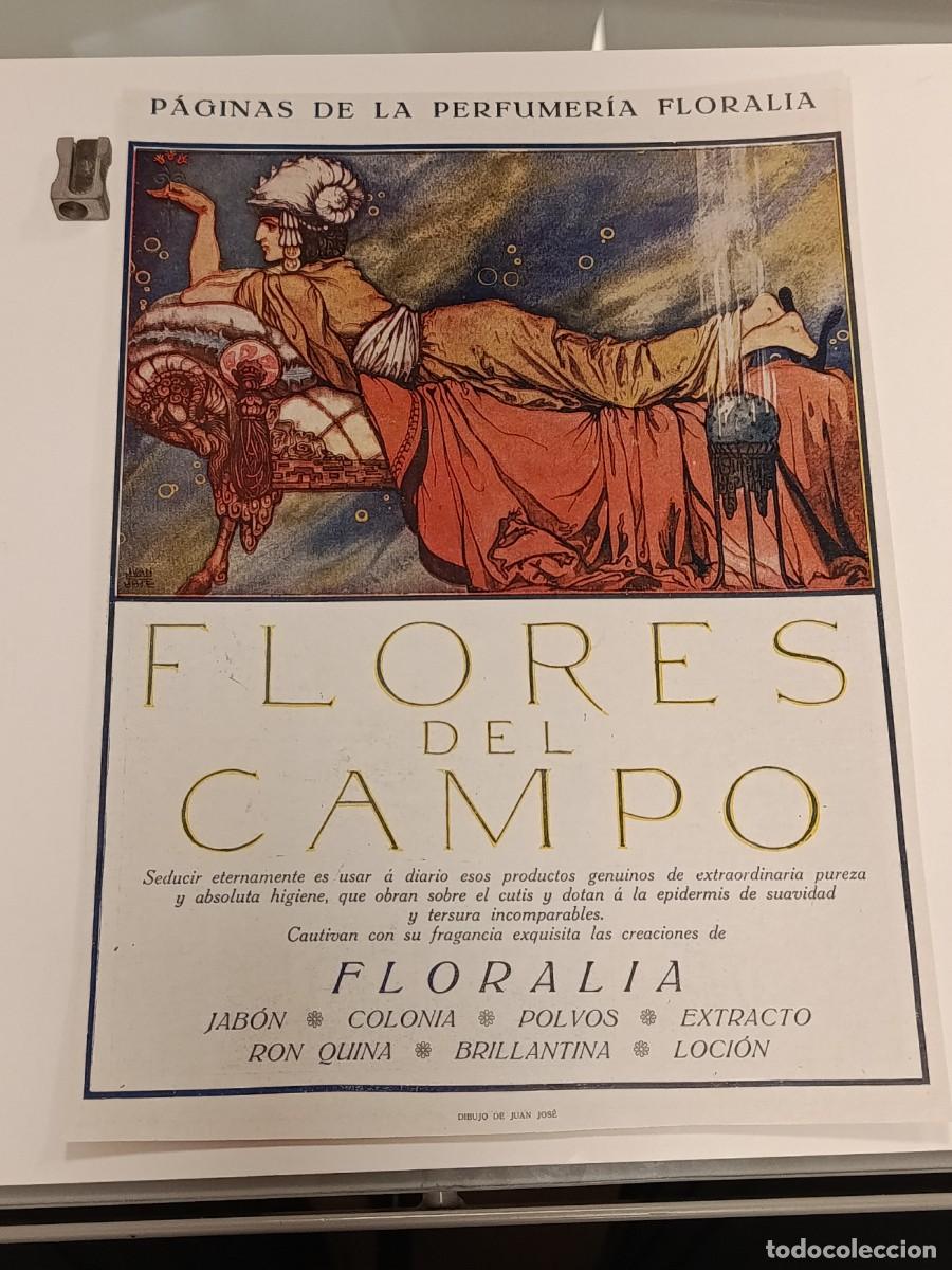 Coleccionismo de revistas y peri&oacute;dicos: Publicidad Antigua Floralia Flores del Campo Perfumeria Ilustracion Juan Jose Modernismo Tocador