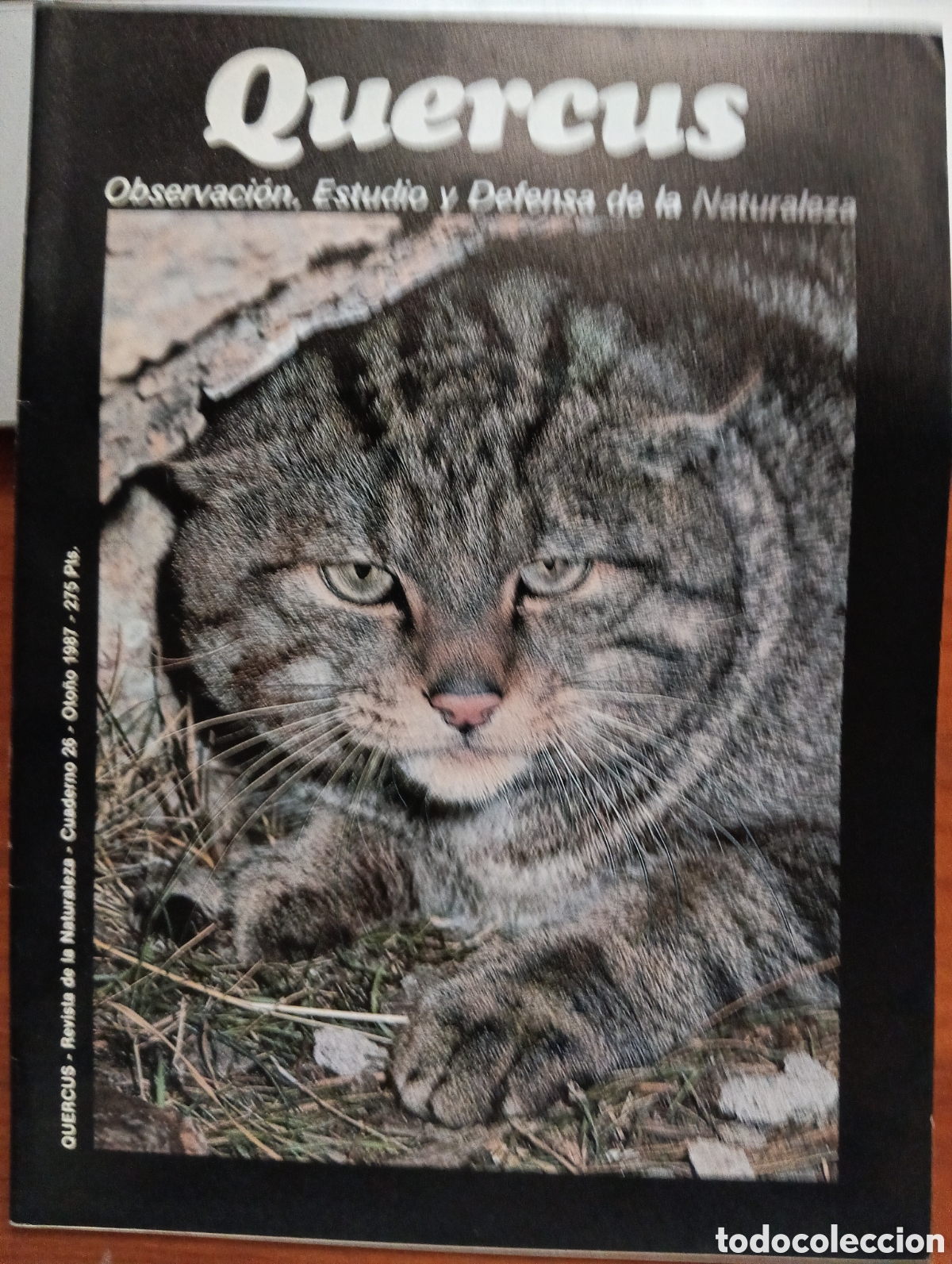 Sammeln von Zeitschriften und Zeitungen: Quercus, Cuaderno 26, Oto&ntilde;o 1987