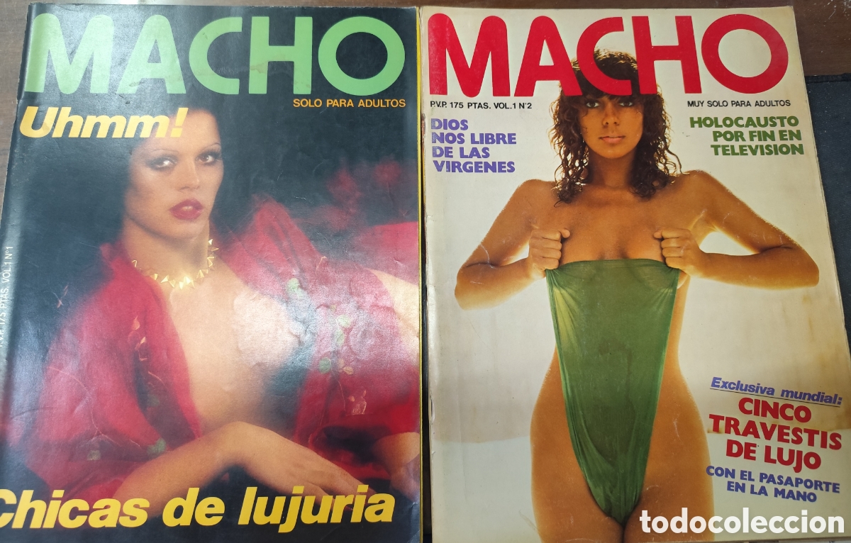 Coleccionismo de revistas y peri&oacute;dicos: Lote de 21 n&uacute;meros revista er&oacute;tica Macho. Ver fotos