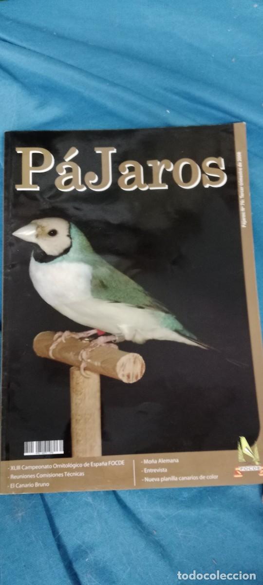 Coleccionismo de revistas y peri&oacute;dicos: LOTE DE 7 REVISTAS DE PAJARO LOS DE FOTO B-WO