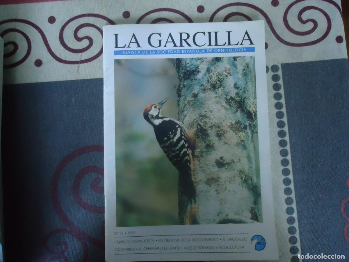 Collection Magazines and Newspapers: LOTE DE 34 REVISTAS LA GARCILLA,