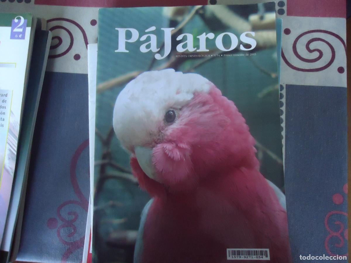 Collection Magazines and Newspapers: LOTE DE 20 REVISTAS DE PAJAROS