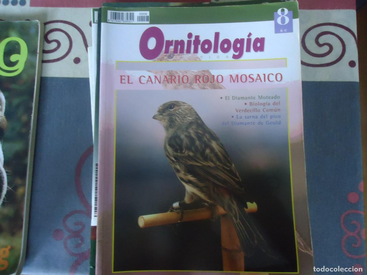Collection Magazines and Newspapers: LOTE DE 22 REVISTAS DE ORNITOLOGIA