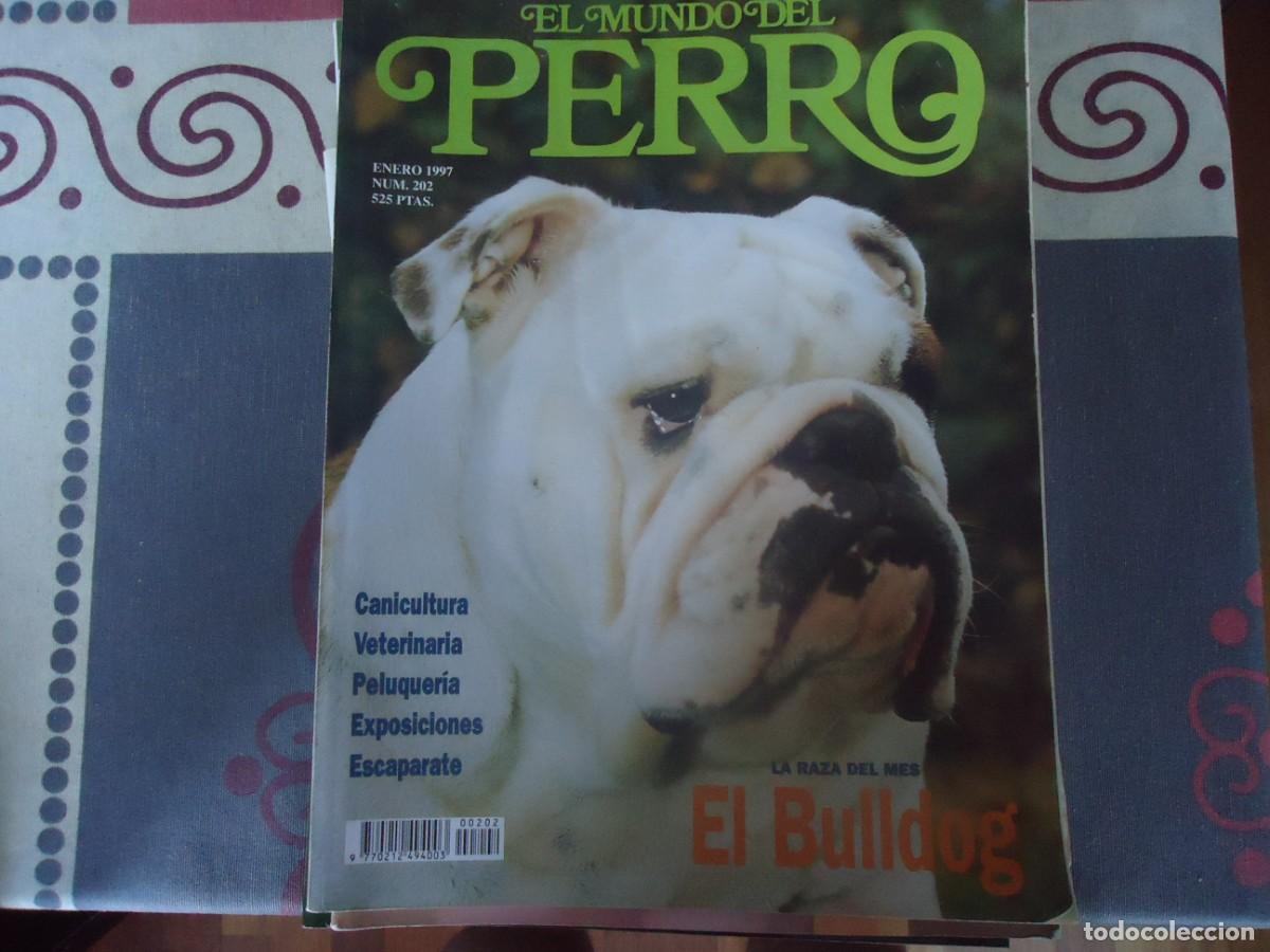 Collection Magazines and Newspapers: LOTE DE 50 REVISTAS DE TODO PERROS Y OTRAS