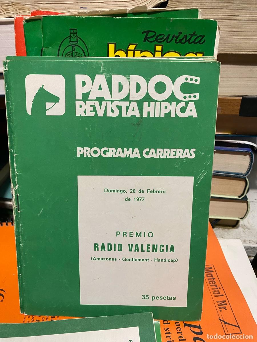 Coleccionismo de revistas y peri&oacute;dicos: PADDOC, REVISTA HIPICA, PROGRAMA CARRERAS, 20 DE FEBRERO 1977