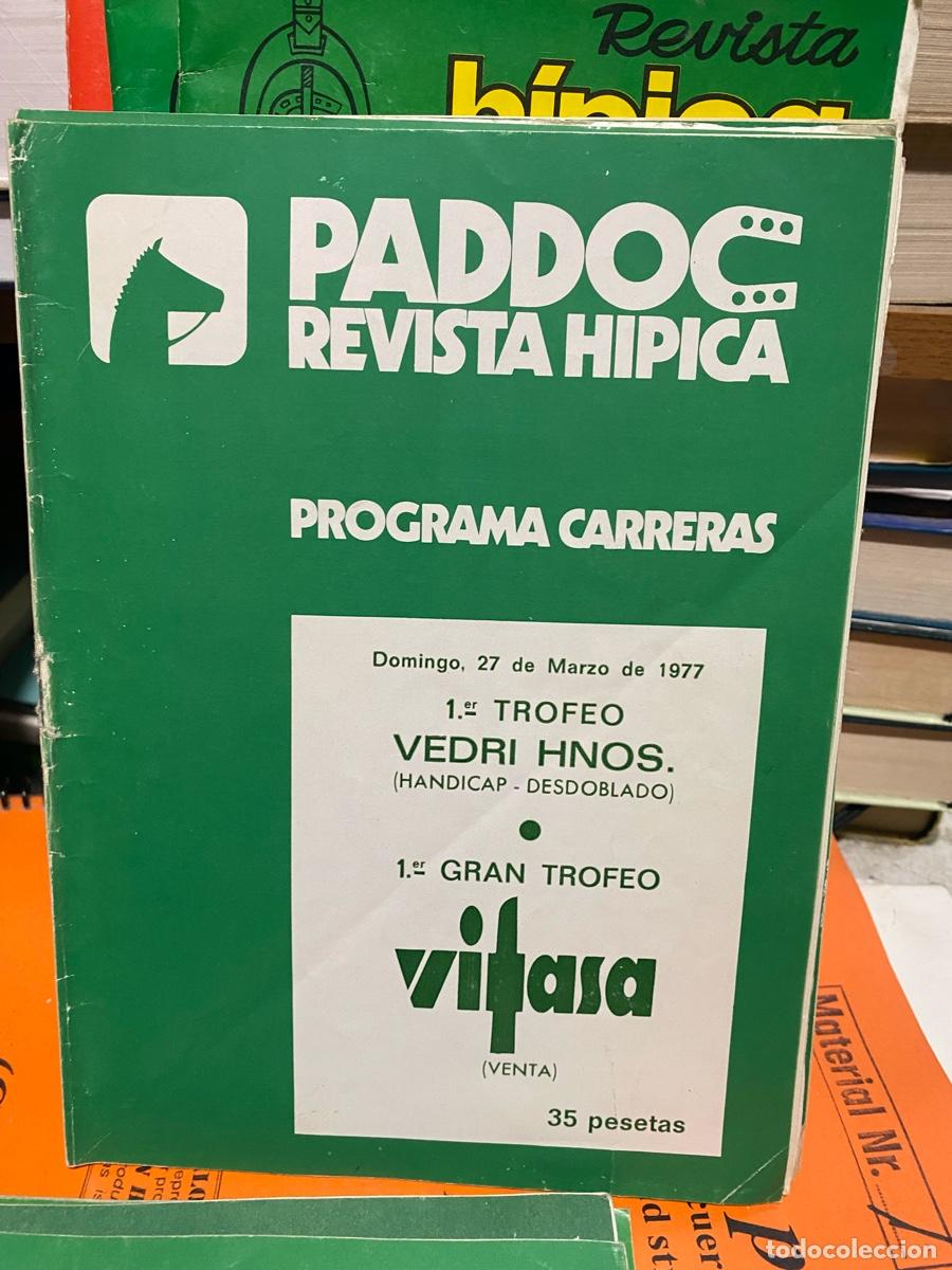 Coleccionismo de revistas y peri&oacute;dicos: PADDOC, REVISTA HIPICA, PROGRAMA CARRERAS, 27 DE MARZO 1977
