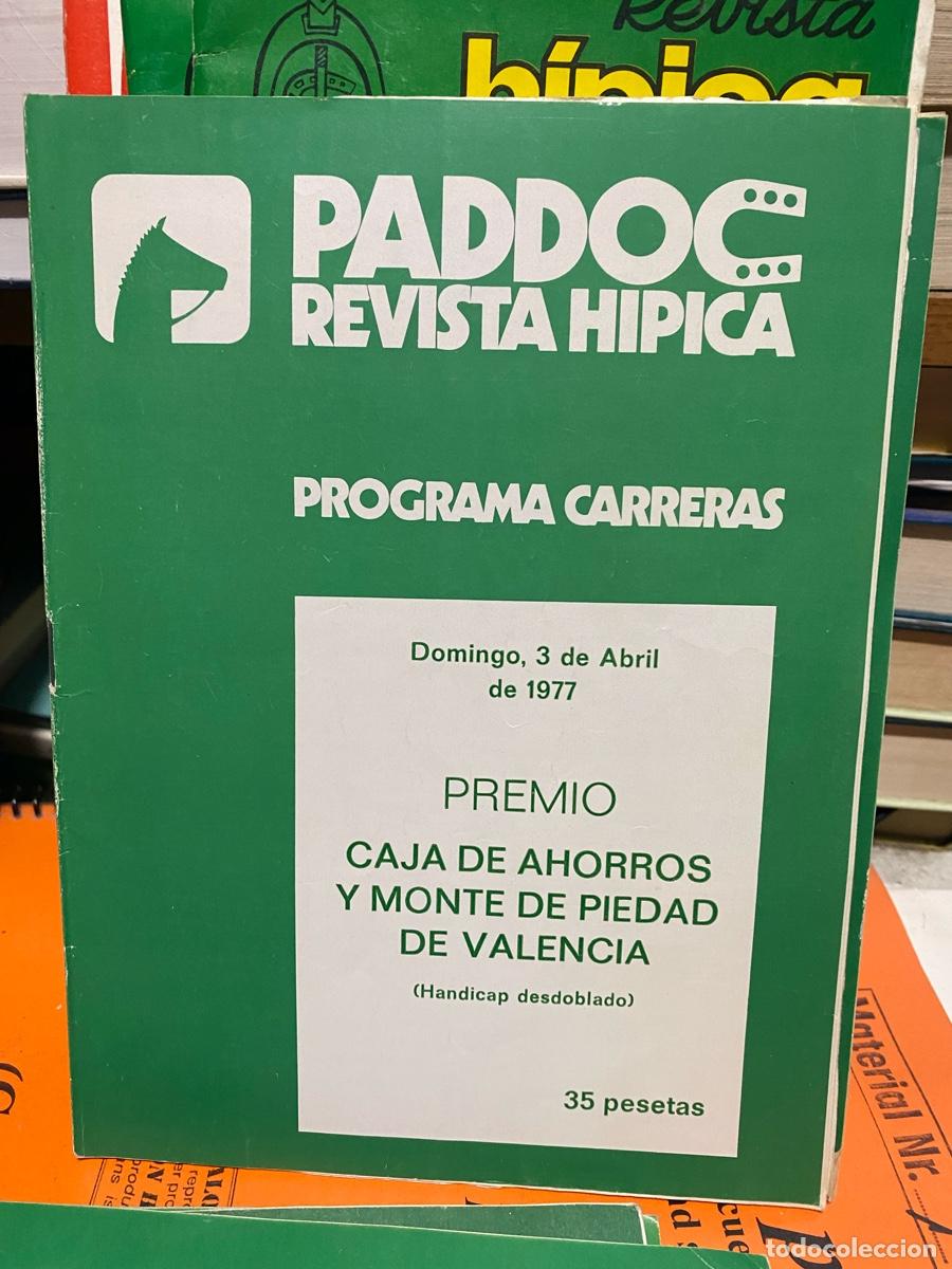 Coleccionismo de revistas y peri&oacute;dicos: PADDOC, REVISTA HIPICA, PROGRAMA CARRERAS, 3 DE ABRIL 1977