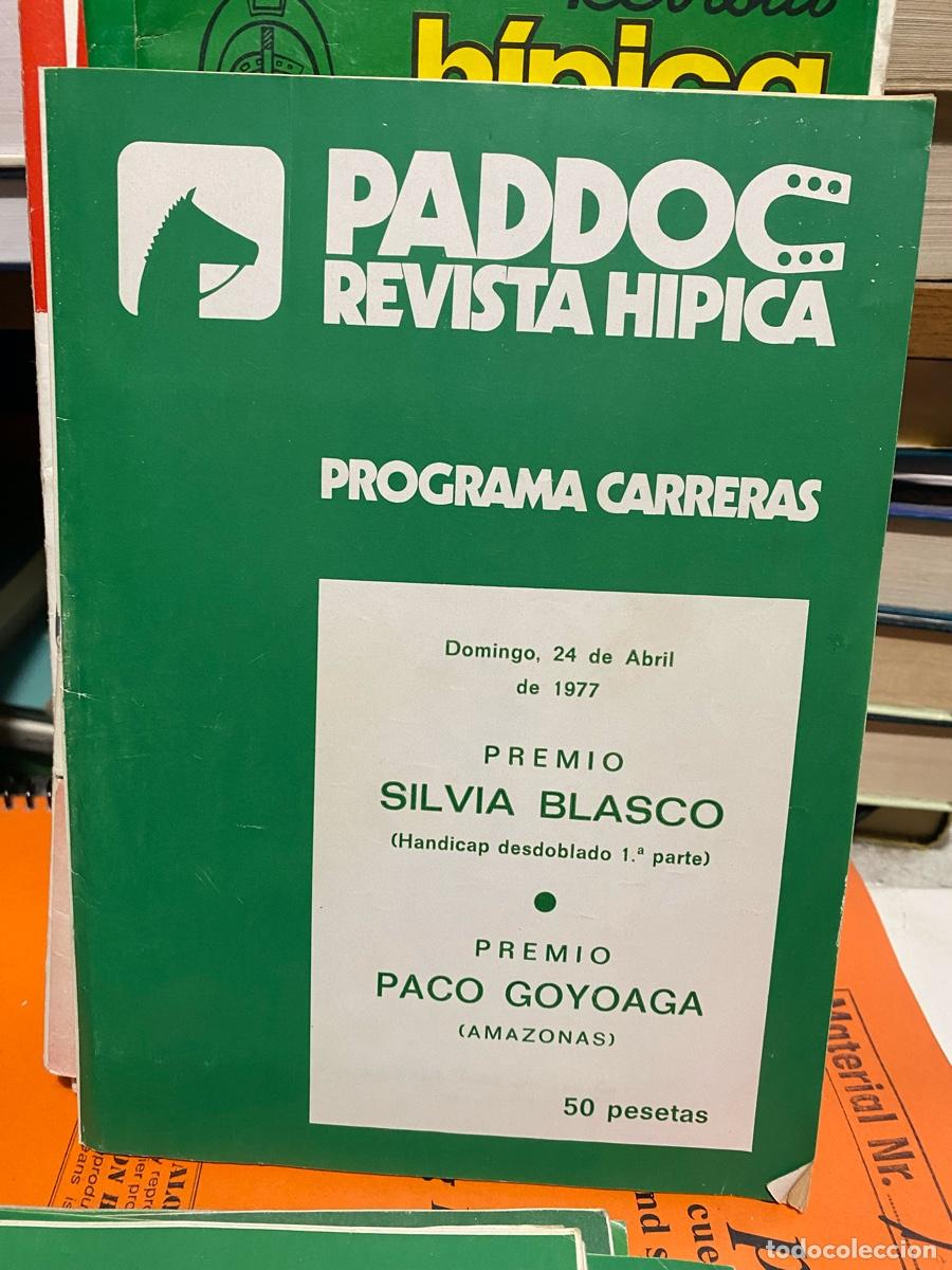 Coleccionismo de revistas y peri&oacute;dicos: PADDOC, REVISTA HIPICA, PROGRAMA CARRERAS, 24 DE ABRIL 1977