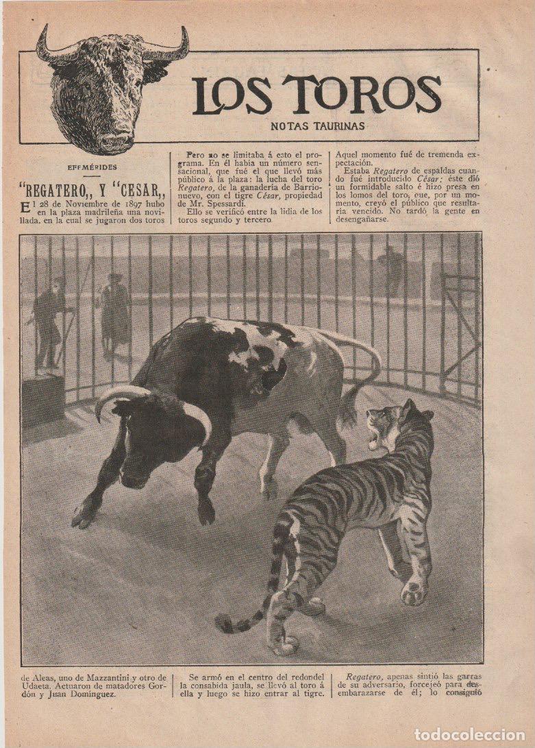 Coleccionismo de revistas y peri&oacute;dicos: * TOROS Y TOREROS * Novillos Regatero y C&eacute;sar; torero Eusebio Fuentes; averiguador taurino -1910