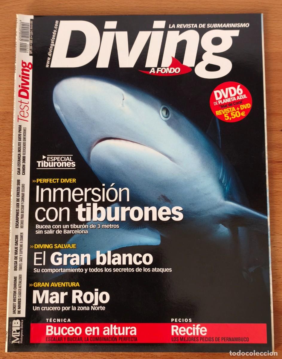 Collezionismo di Riviste e Giornali: Revista Diving A Fondo - Inmersi&oacute;n con tiburones - N&ordm;54 - Septiembre 2004