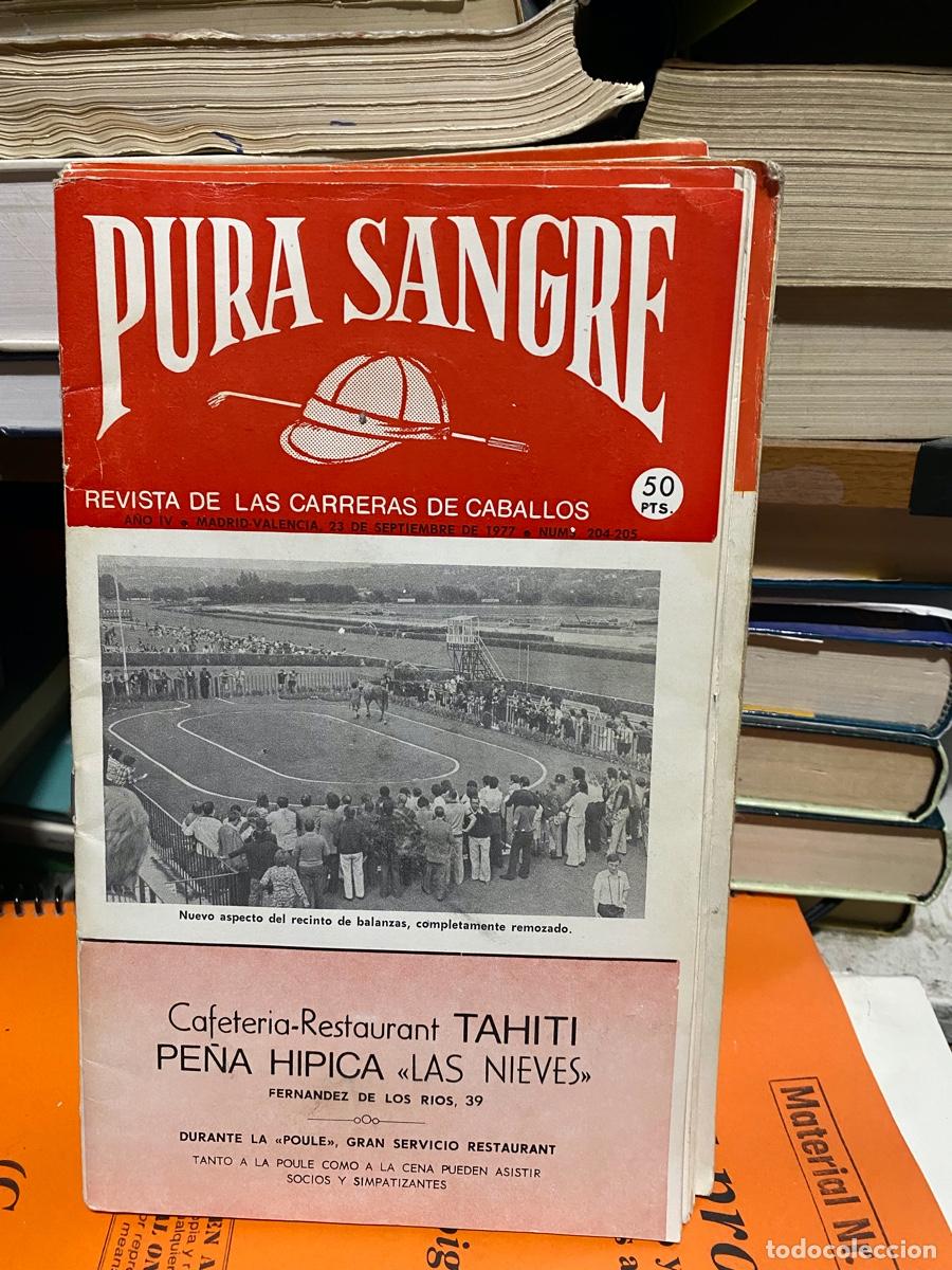 Coleccionismo de revistas y peri&oacute;dicos: PURA SANGRE, REVISTA DE HIPICA, N.204 205