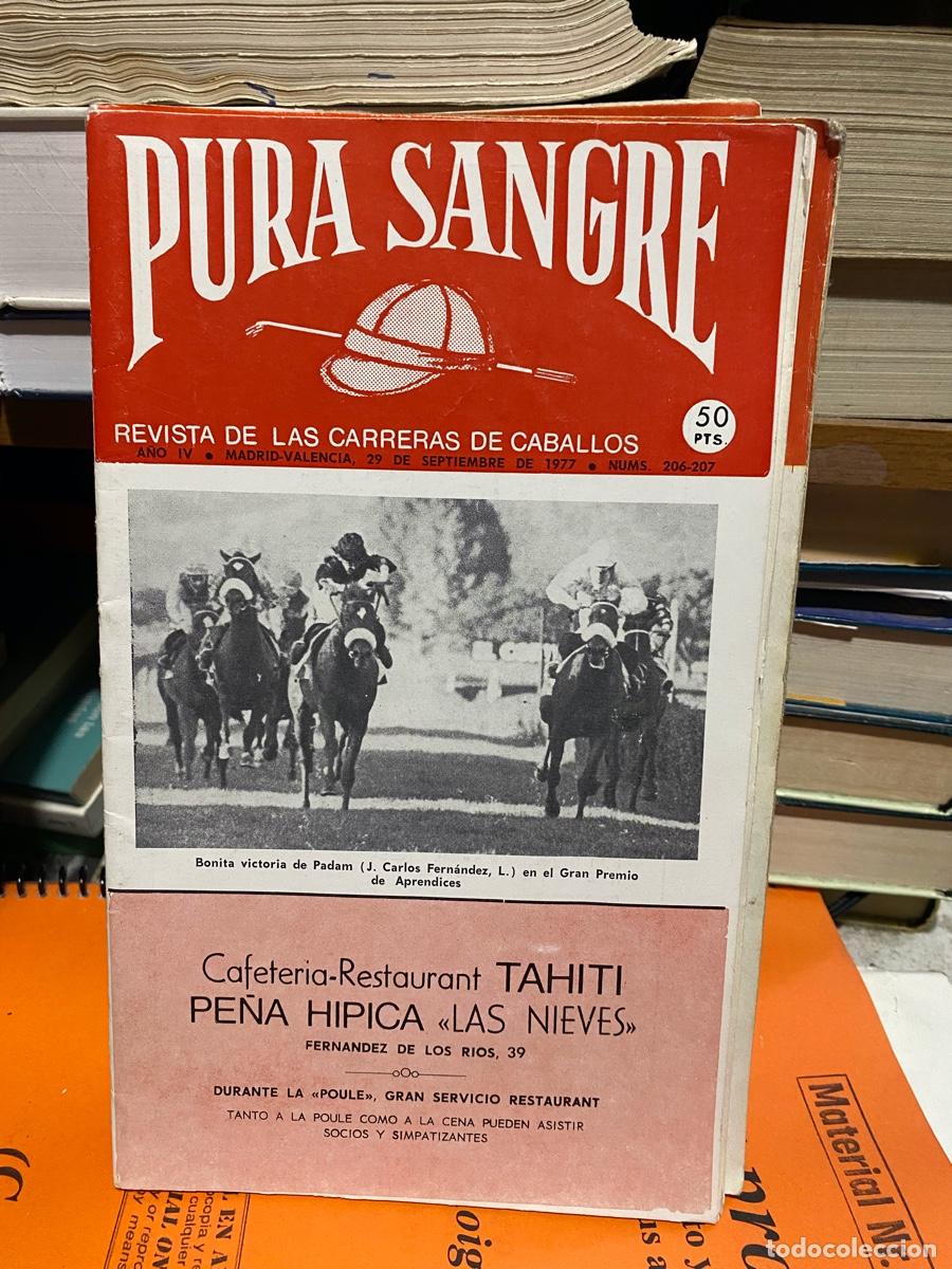 Coleccionismo de revistas y peri&oacute;dicos: PURA SANGRE, REVISTA DE HIPICA, N.206 207
