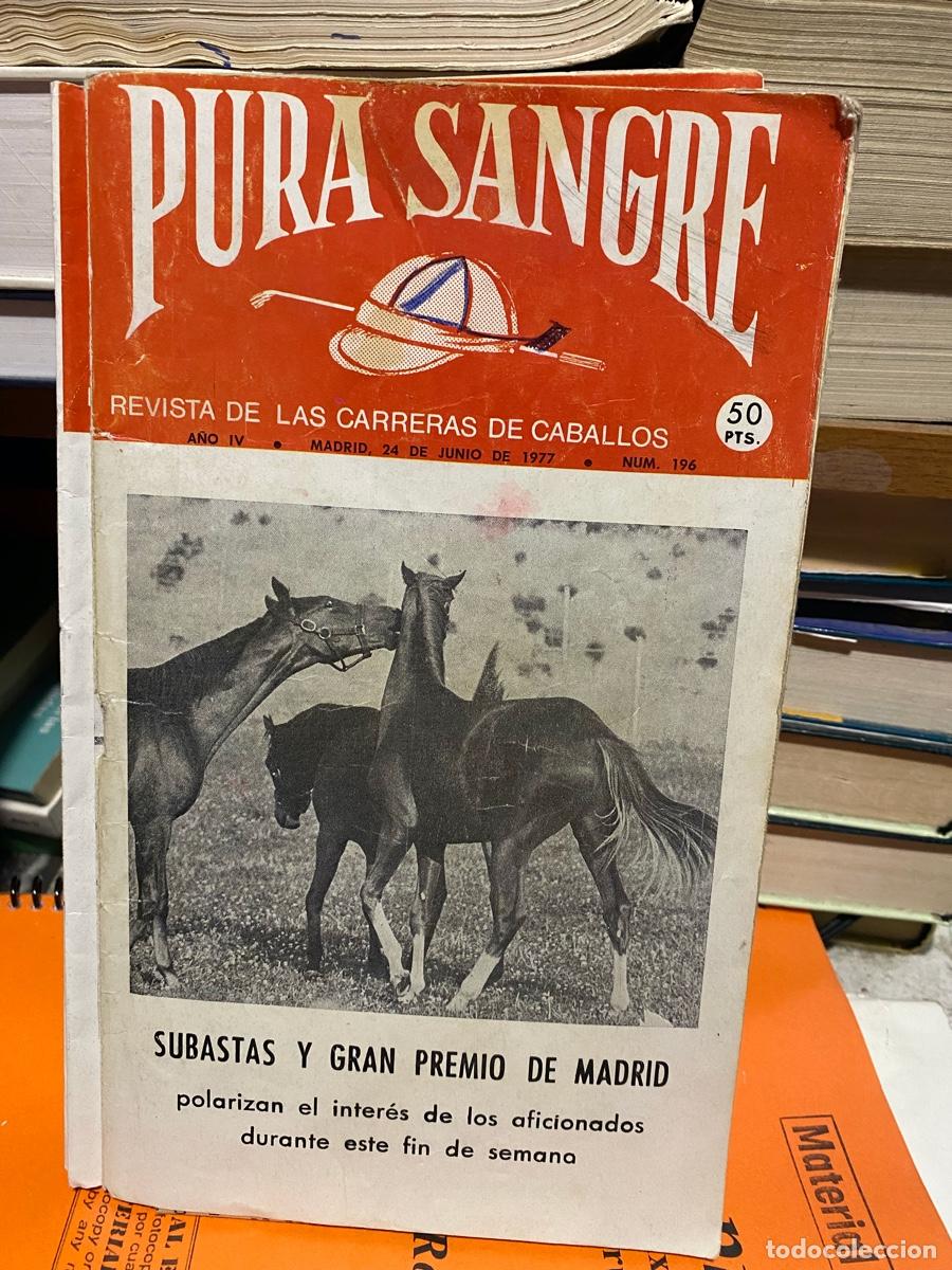 Coleccionismo de revistas y peri&oacute;dicos: PURA SANGRE, REVISTA DE HIPICA, N.196