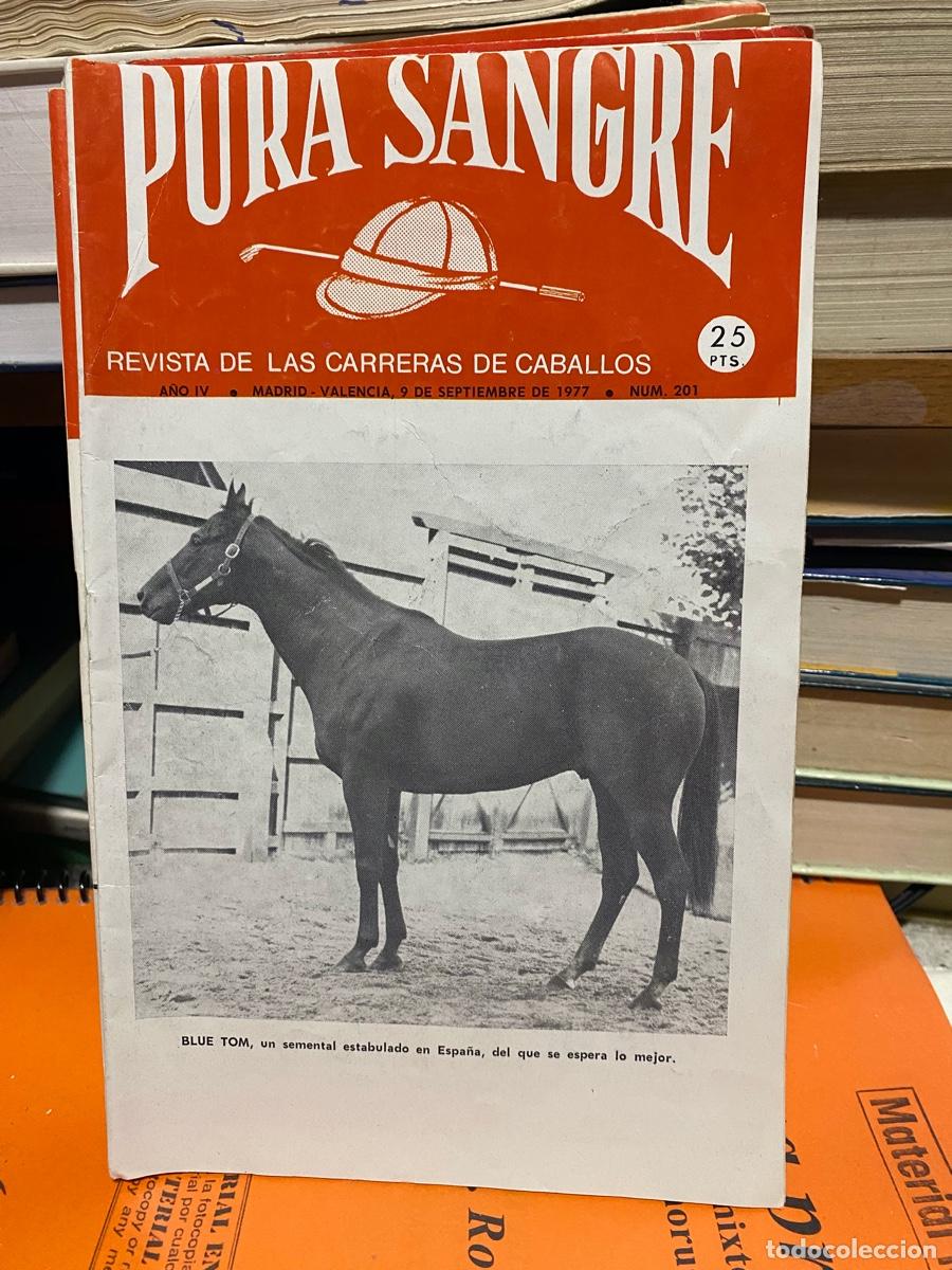 Coleccionismo de revistas y peri&oacute;dicos: PURA SANGRE, REVISTA DE HIPICA, N.201