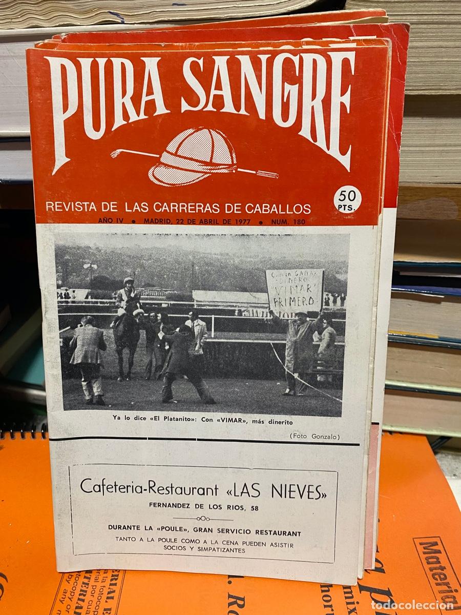Coleccionismo de revistas y peri&oacute;dicos: PURA SANGRE, REVISTA DE HIPICA, N.180