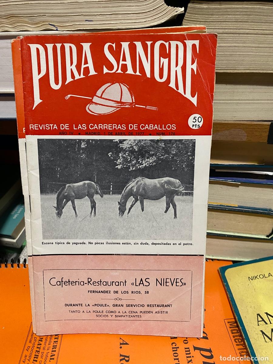 Coleccionismo de revistas y peri&oacute;dicos: PURA SANGRE, REVISTA DE HIPICA, N.176