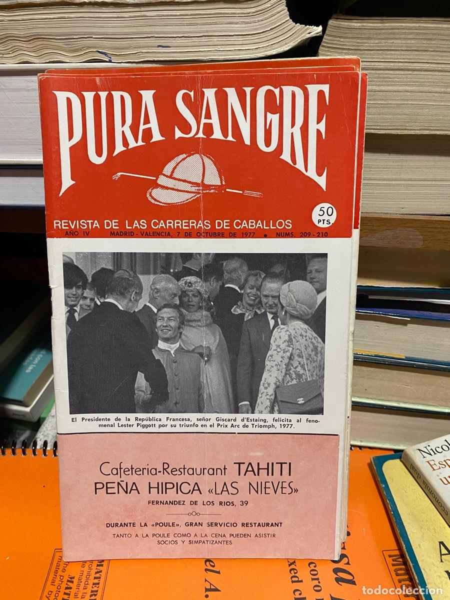 Coleccionismo de revistas y peri&oacute;dicos: PURA SANGRE, REVISTA DE HIPICA, N. 209 210