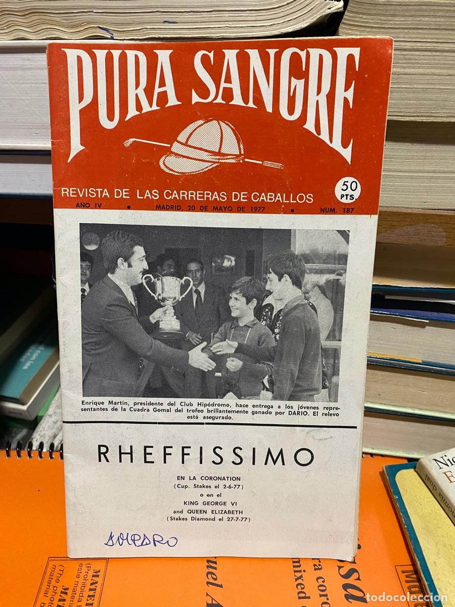 Coleccionismo de revistas y peri&oacute;dicos: PURA SANGRE, REVISTA DE HIPICA, N. 187